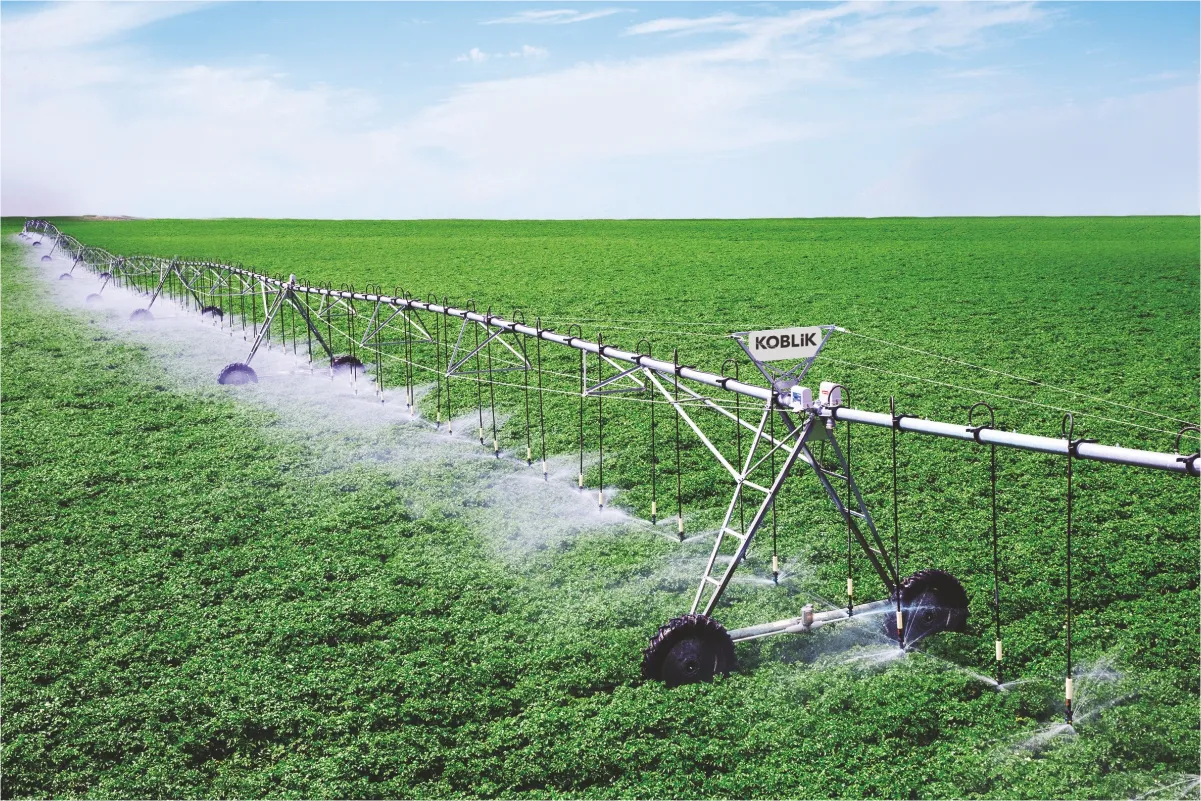 Where to buy irrigation systems and how to choose a reliable irrigation solution
