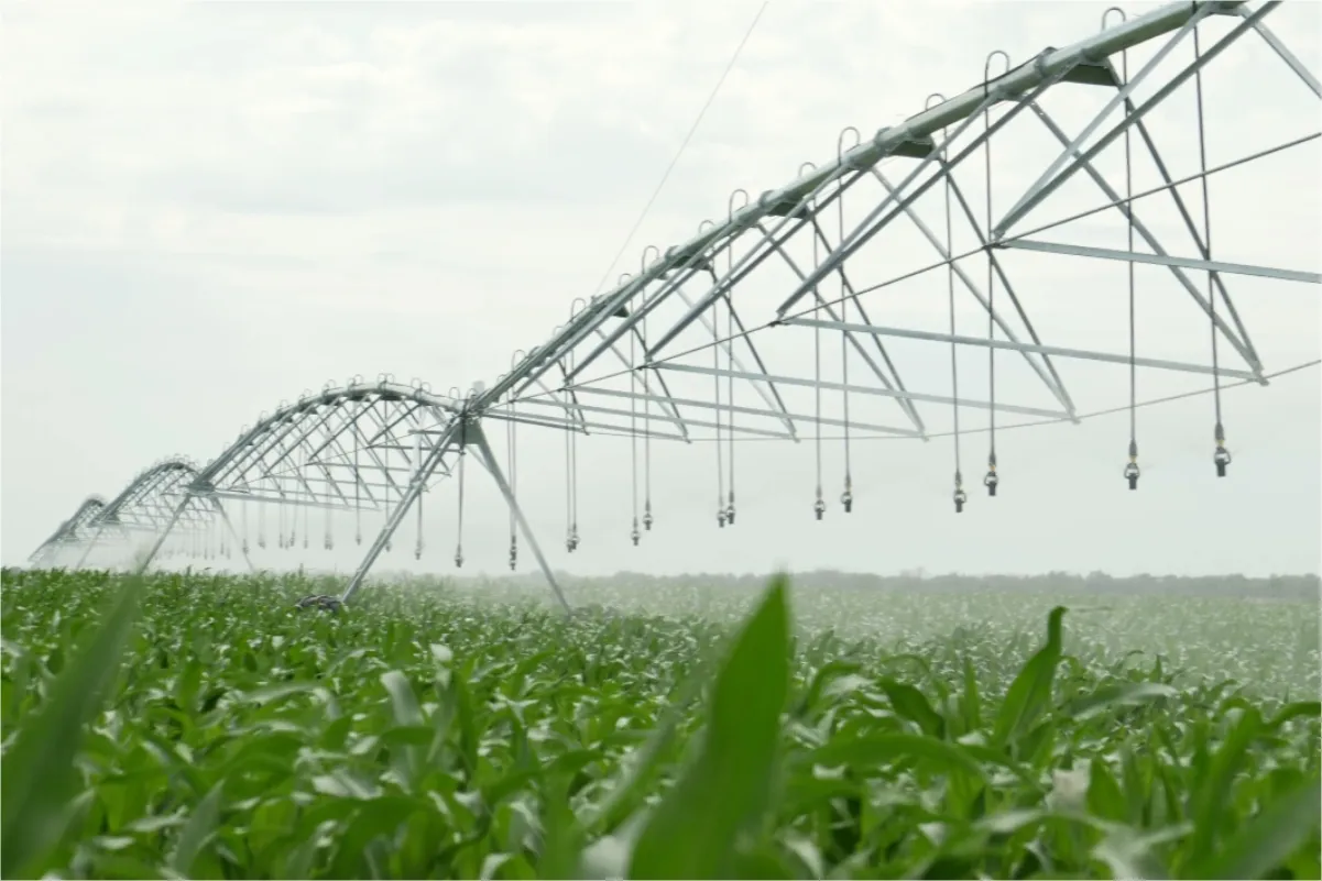 Where to buy irrigation systems and how to choose a reliable irrigation solution — photo 3