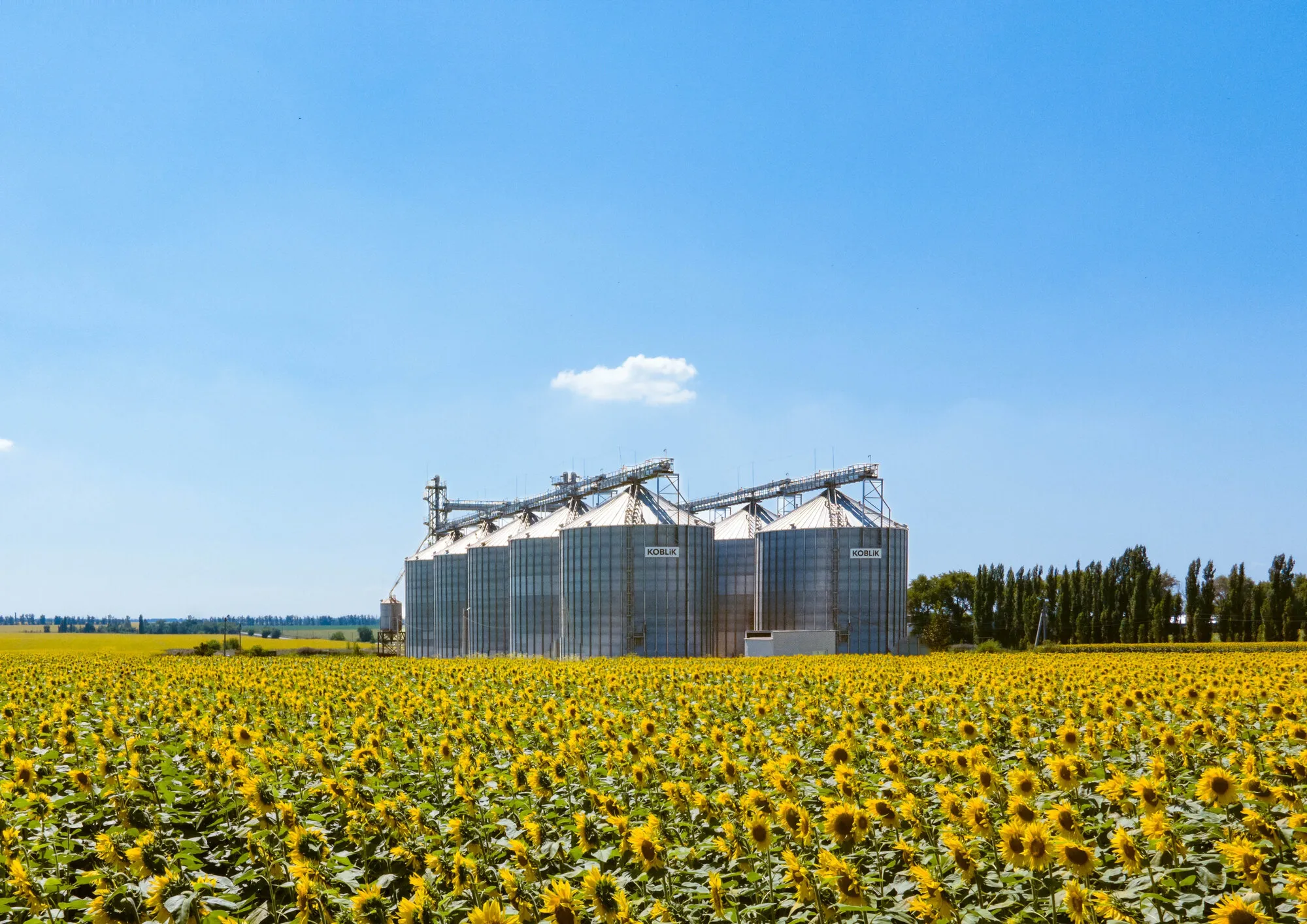 How to choose a reliable grain elevator construction company — photo 5