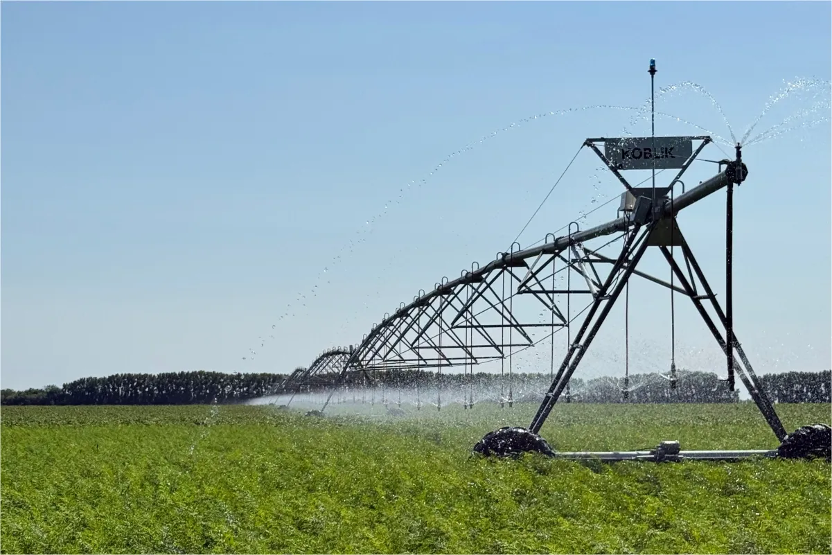Where to buy irrigation systems and how to choose a reliable irrigation solution — photo 5