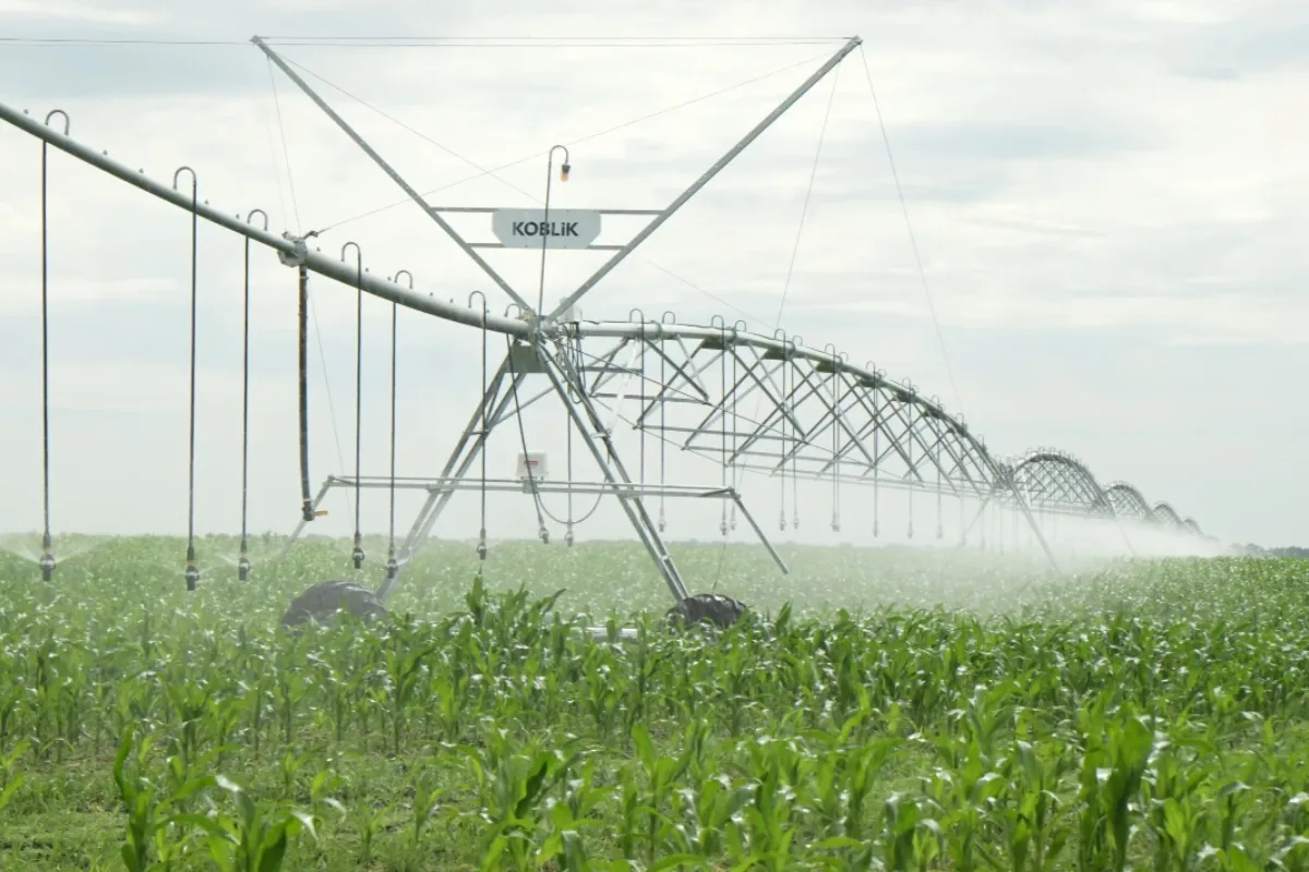 Where to buy irrigation systems and how to choose a reliable irrigation solution — photo 4