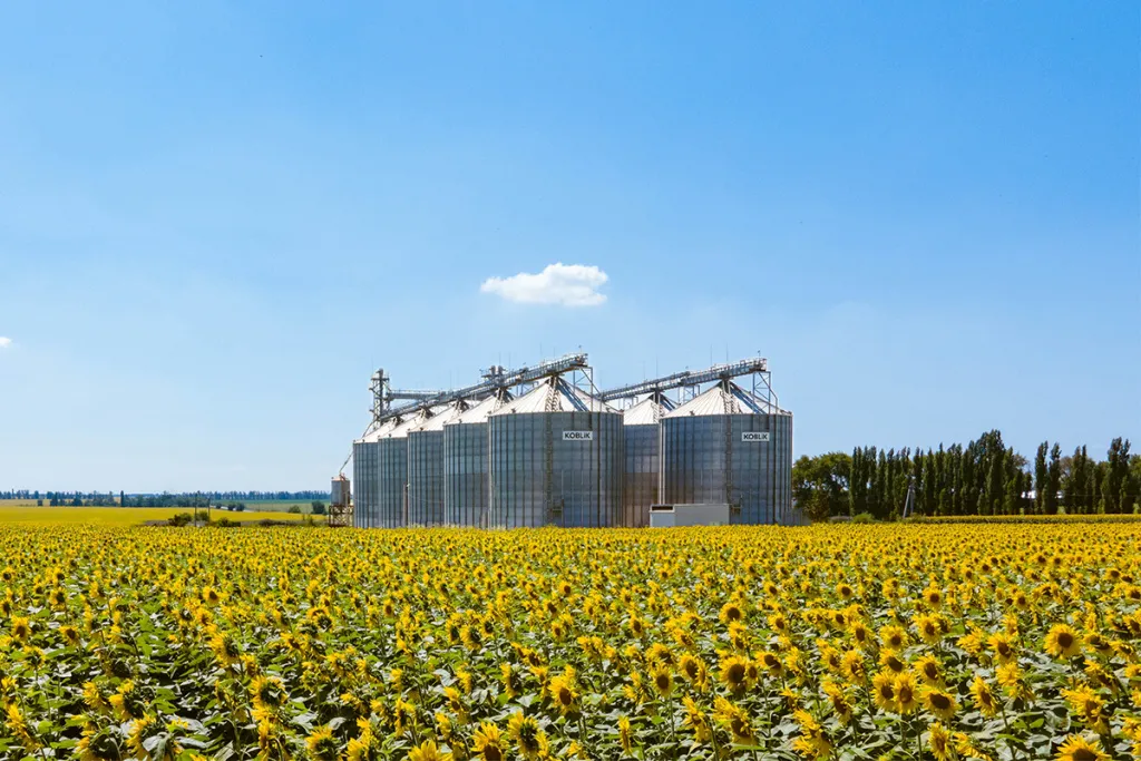 Grain elevator construction — photo 1