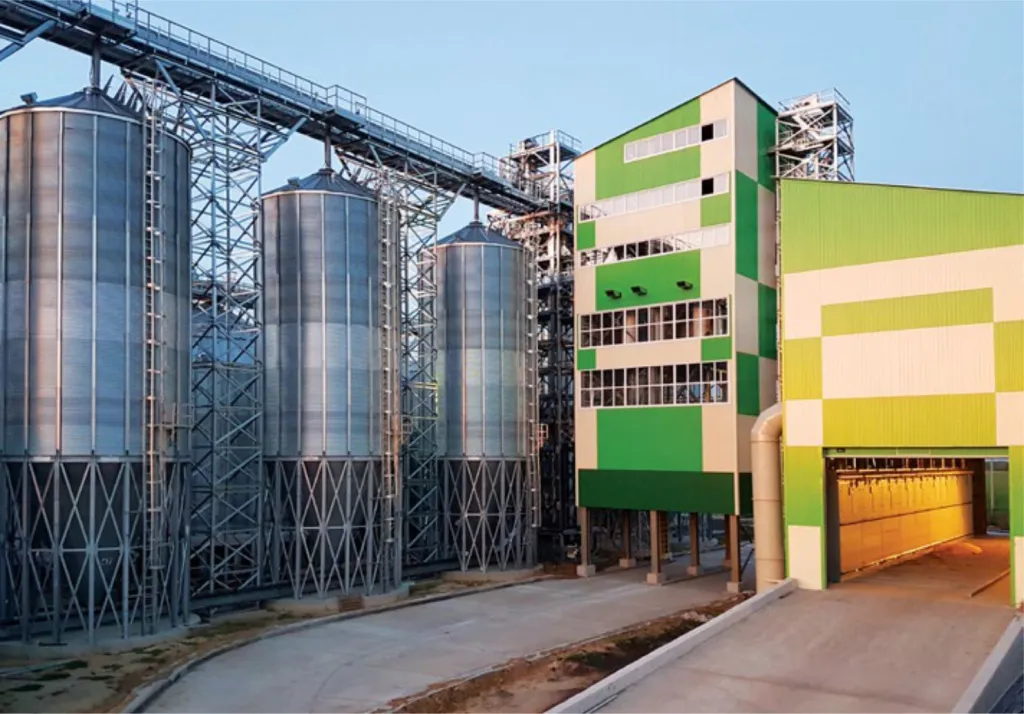 Seed production at a sugar plant — photo 1